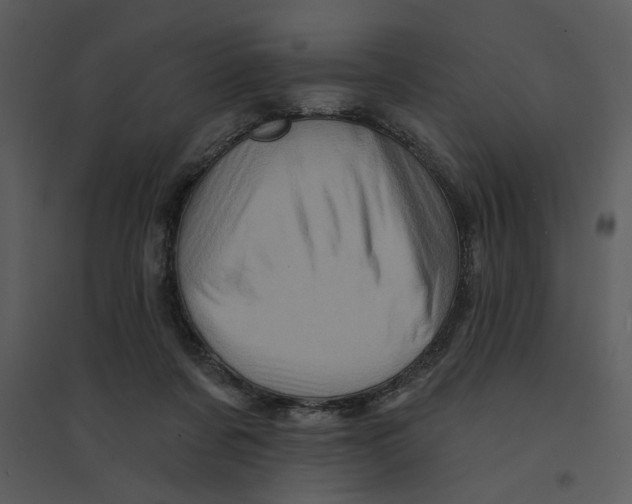 X0000095550311200801041336