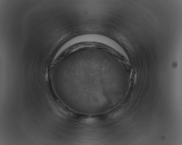 X0000095550312200801041336