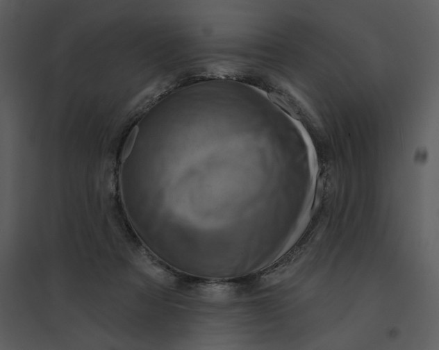 X0000095550313200801041336