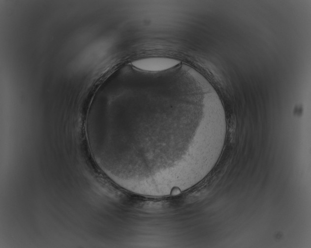 X0000095550314200801041336