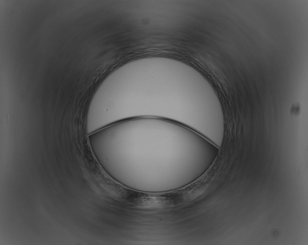 X0000095550316200801041336