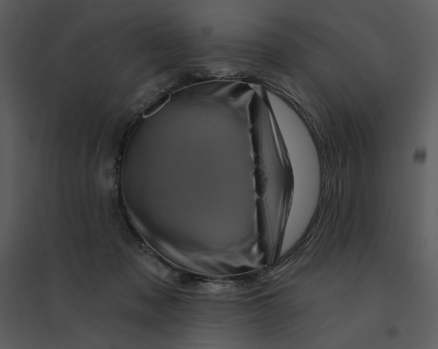 X0000095550317200801041336