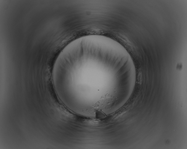 X0000095550318200801041336