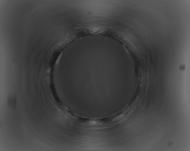 X0000095550319200801041336