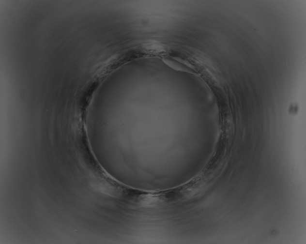 X0000095550320200801041336