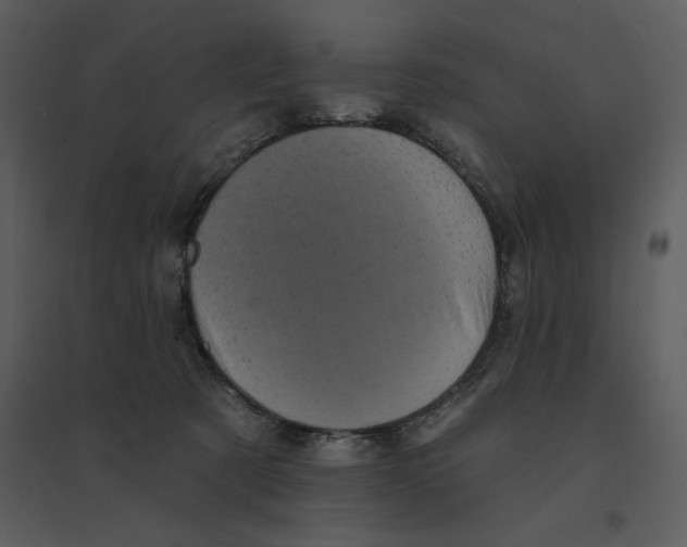 X0000095550321200801041336