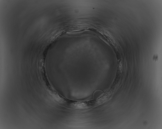 X0000095550322200801041336