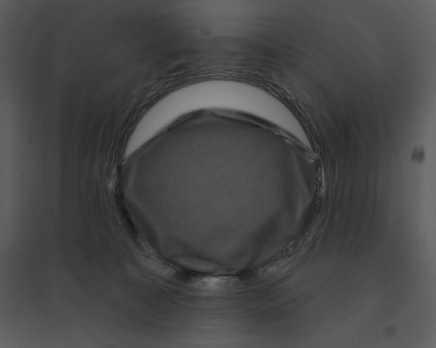 X0000095550323200801041336