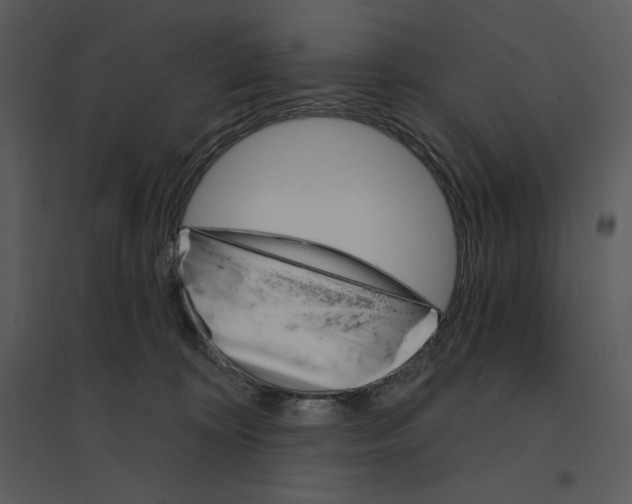 X0000095550324200801041336