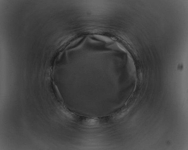 X0000095550325200801041336