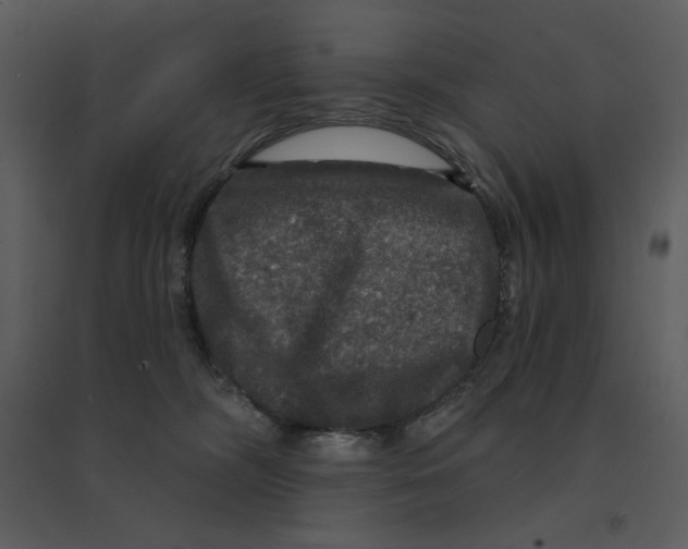 X0000095550326200801041336