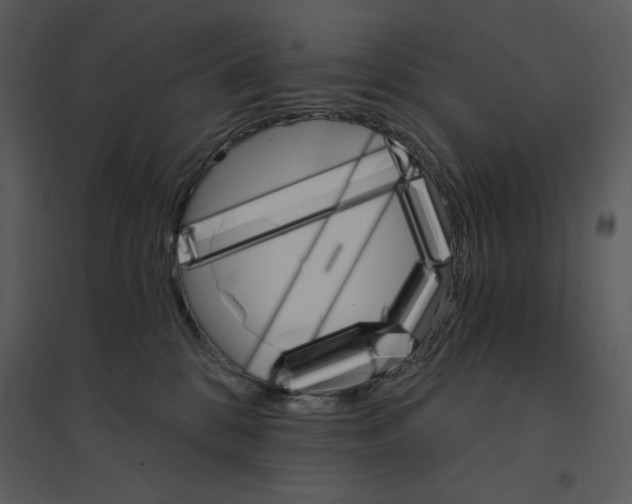 X0000095550328200801041336