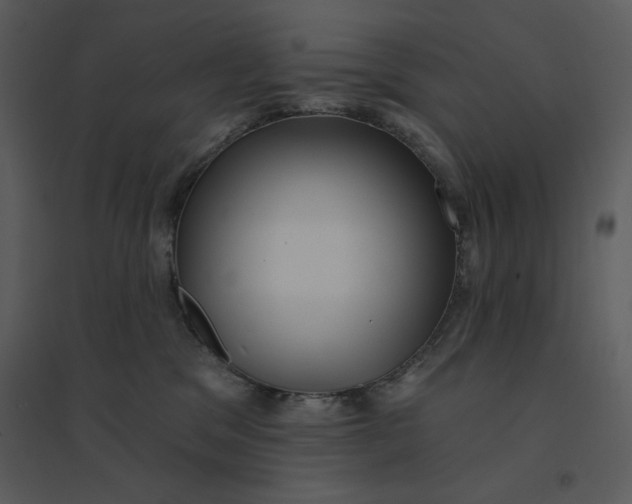 X0000095550329200801041336