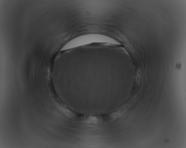 X0000095550330200801041336