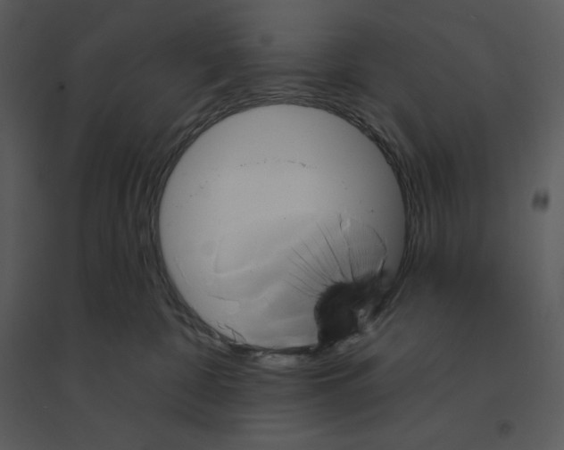 X0000095550332200801041336