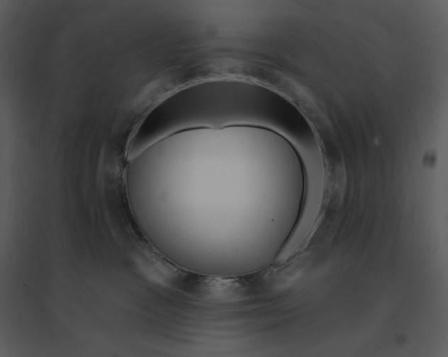 X0000095550333200801041336