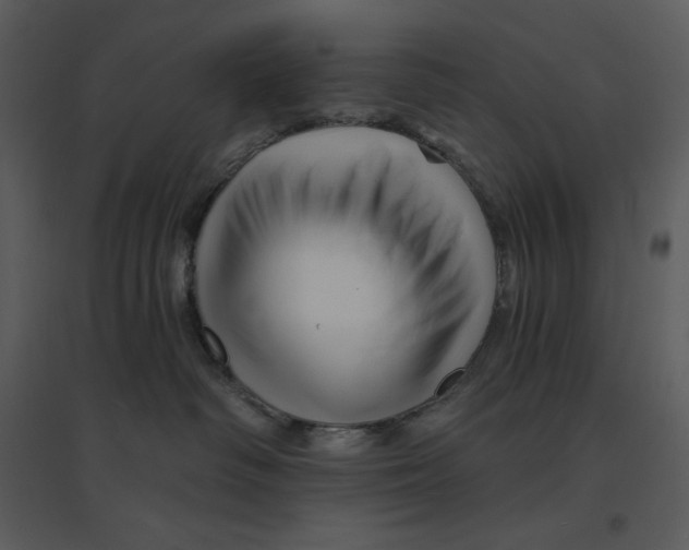 X0000095550334200801041336