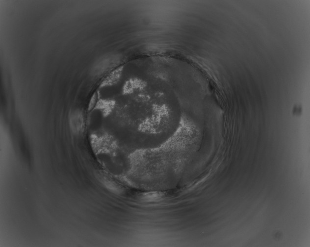 X0000095550335200801041336