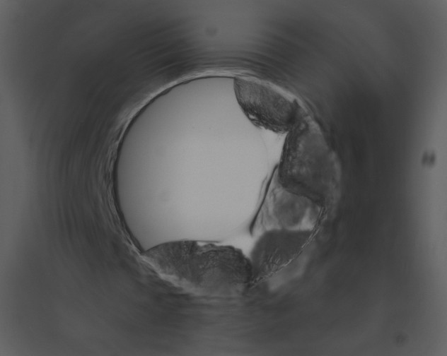 X0000095550337200801041335