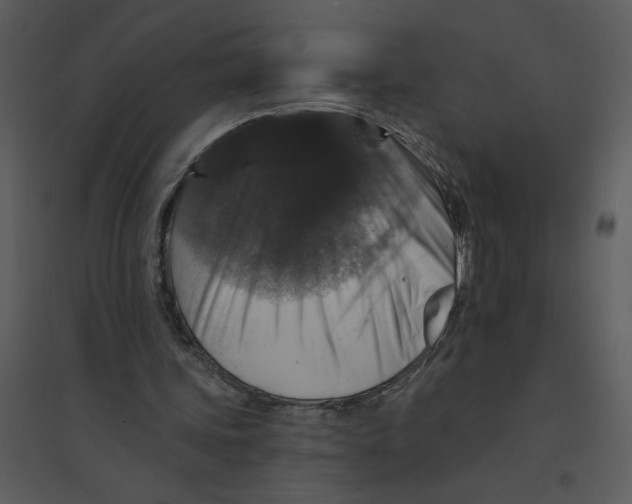 X0000095550339200801041336