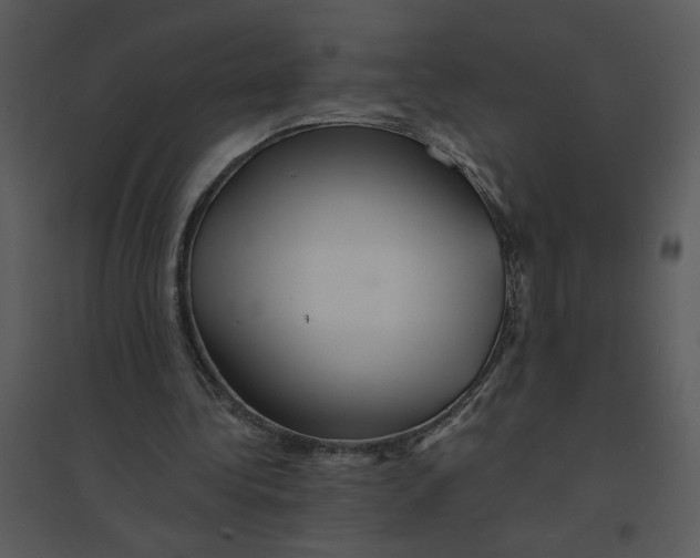 X0000095550340200801041336