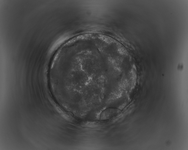 X0000095550341200801041336