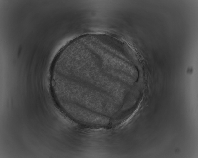 X0000095550342200801041336