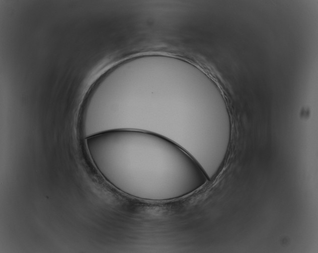 X0000095550344200801041336