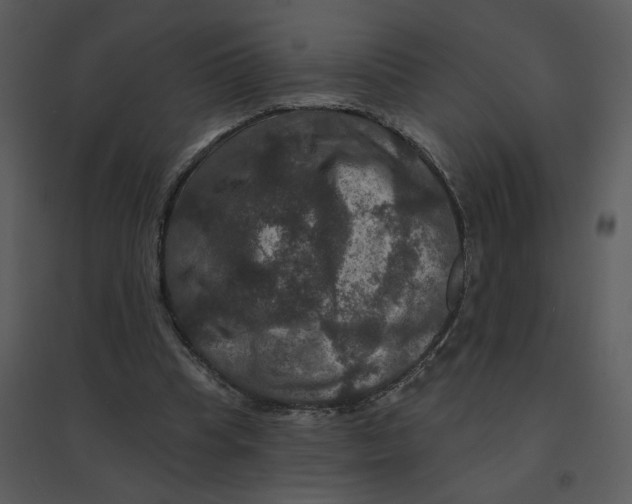 X0000095550345200801041336