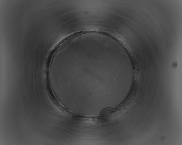 X0000095550347200801041336