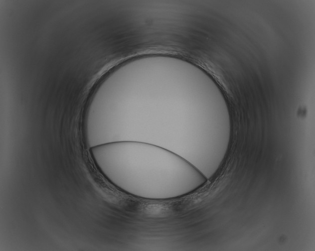 X0000095550348200801041336