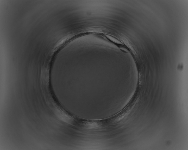 X0000095550349200801041336