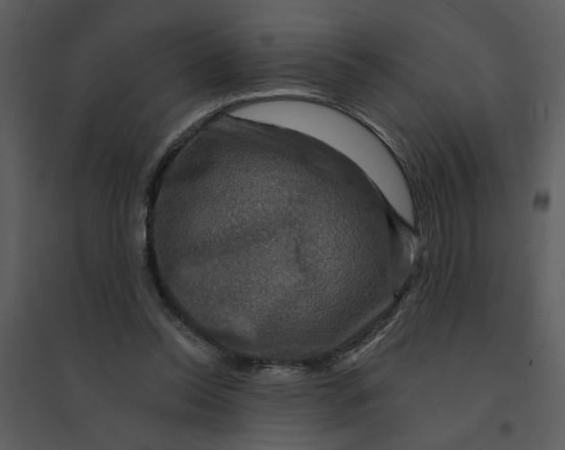 X0000095550350200801041336