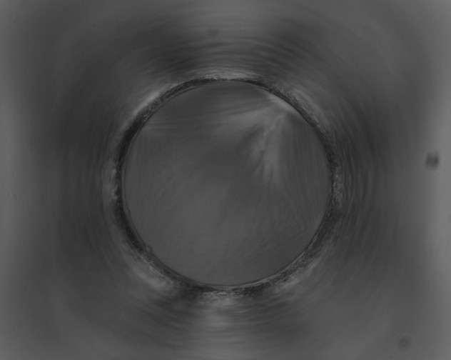 X0000095550351200801041336