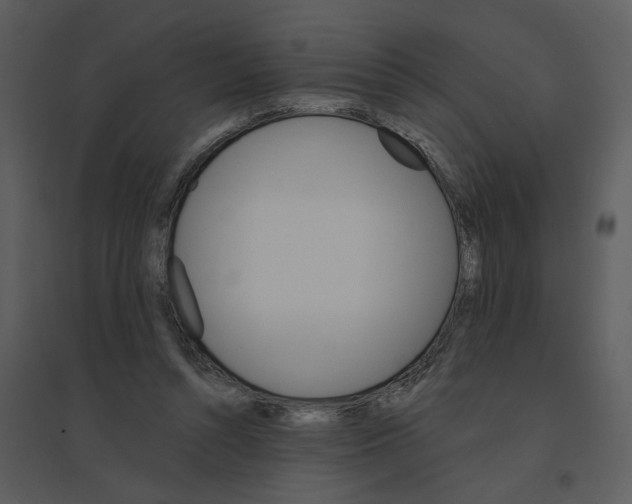 X0000095550352200801041336