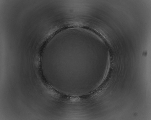 X0000095550355200801041336