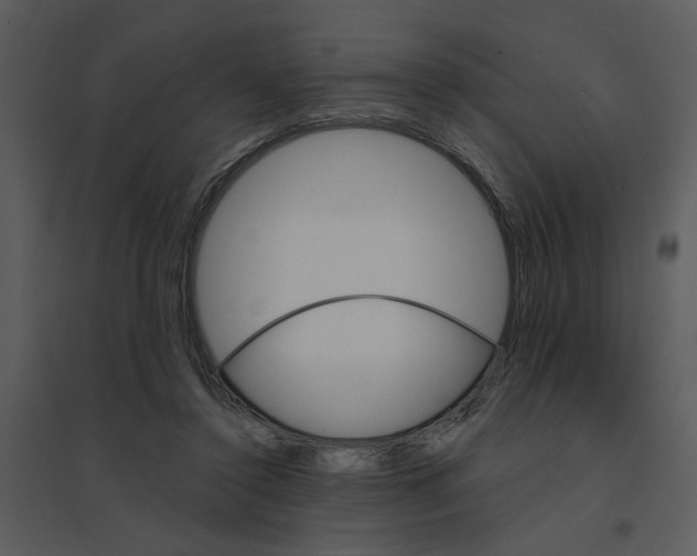 X0000095550356200801041336