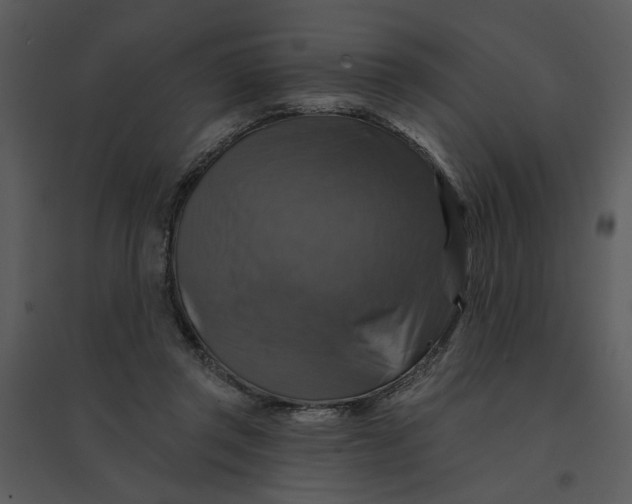 X0000095550357200801041336