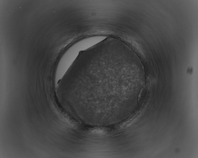 X0000095550358200801041336