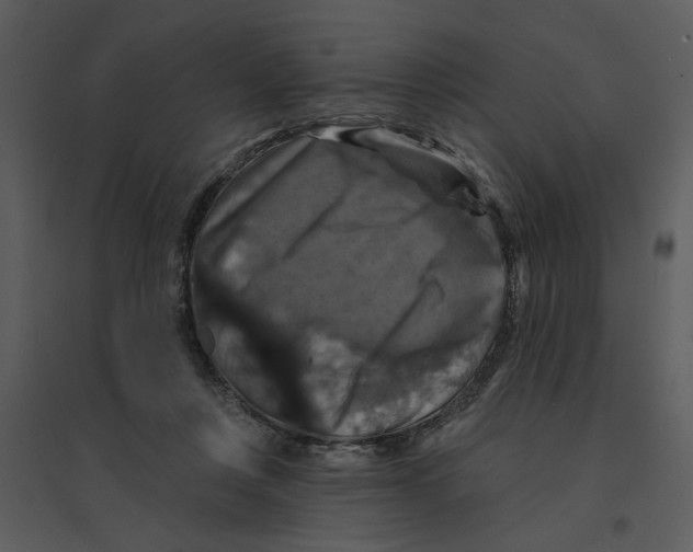 X0000095550359200801041336