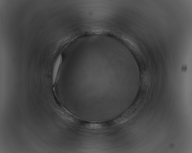 X0000095550361200801041336