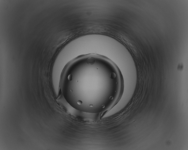 X0000095550362200801041336