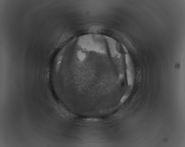 X0000095550363200801041336