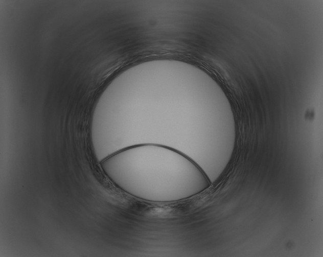 X0000095550364200801041336