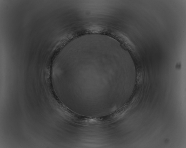 X0000095550365200801041336