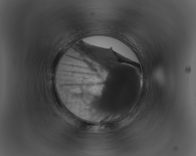 X0000095550366200801041336