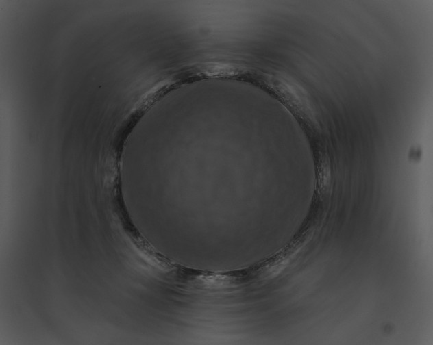 X0000095550367200801041336