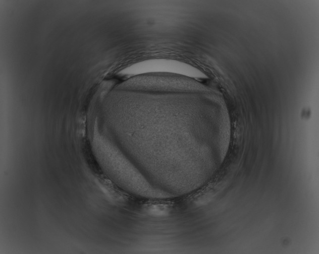 X0000095550368200801041336