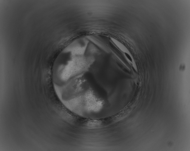 X0000095550369200801041336