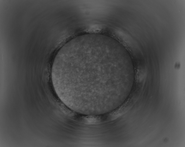 X0000095550370200801041336